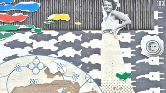 Schwarzenbach_an_der_Saale_leitbild