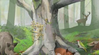 WNE_biodiversitaet_leitbild