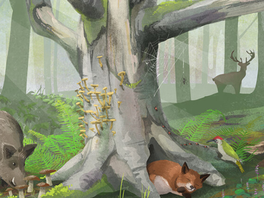 WNE_biodiversitaet_leitbild