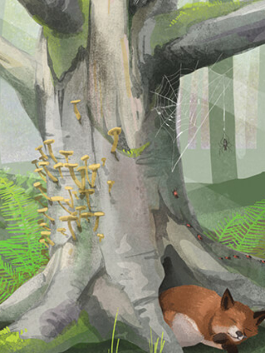 WNE_biodiversitaet_leitbild