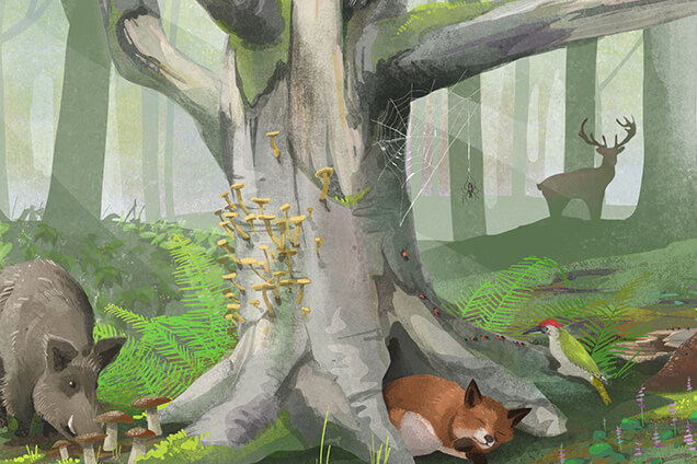 WNE_biodiversitaet_leitbild