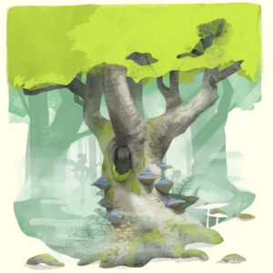 Weltnaturerbe Buchenwälder