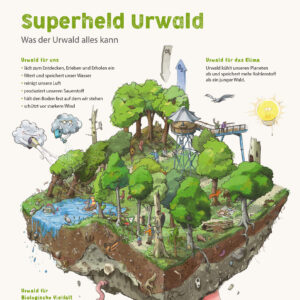 Nationalpark Hainich – Urwaldrollos