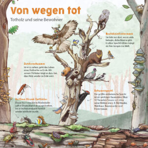 Nationalpark Hainich – Urwaldrollos