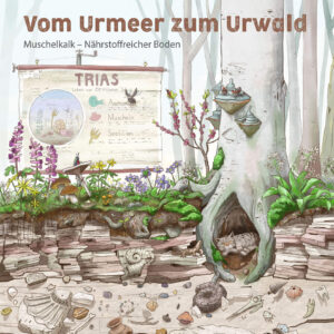 Nationalpark Hainich – Urwaldrollos