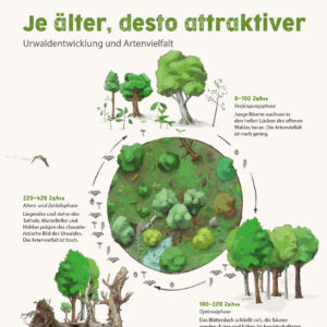 Nationalpark Hainich – Urwaldrollos