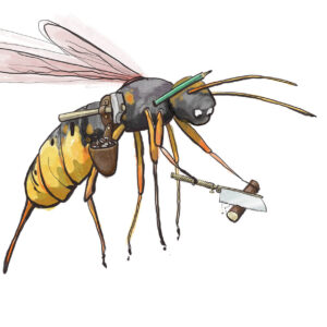 Nationalpark Hainich – Urwaldrollos