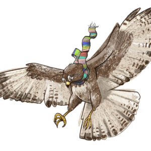 Nationalpark Hainich – Urwaldrollos