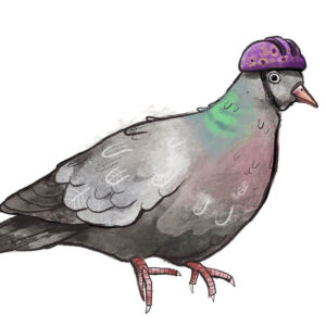 Nationalpark Hainich – Urwaldrollos