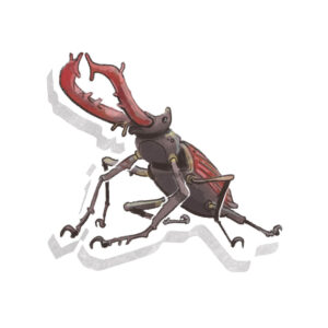 Nationalpark Hainich – Kinderheft