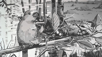 florian_meier_morph_auftrag_wandbild_BfN_000beitragsbild