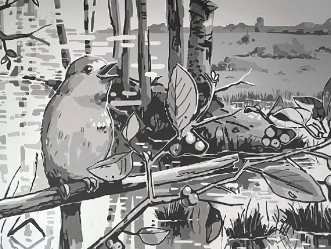 florian_meier_morph_auftrag_wandbild_BfN_000beitragsbild